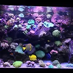 Stylish,Luxury Duplex Paris City Center