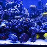 Stylish,Luxury Duplex Paris City Center