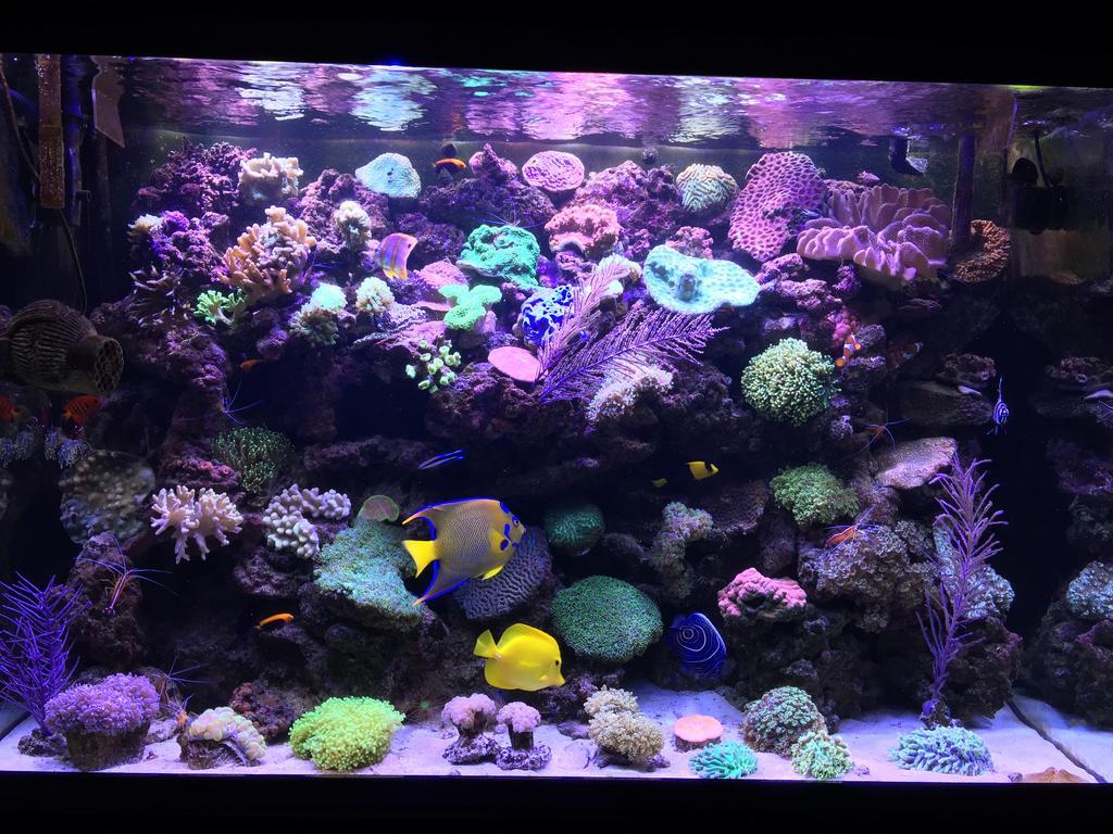 Stylish,luxury Duplex Center Apartment Paris