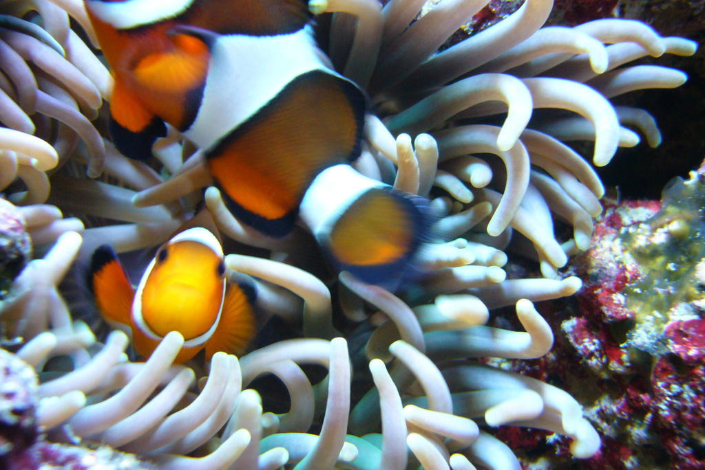 Appartamento Stylish,luxury Duplex Center Parigi